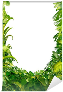 Plantes Tropicales (400x400), Png Download