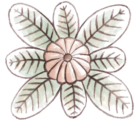 Flores De Ocho Pétalos - Flor Con Ocho Petalos (600x538), Png Download