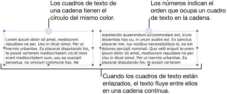 Dos Cuadros De Texto Con Círculos De Color Lila En - Violet (786x326), Png Download