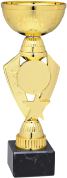 Trophy Gold Star 225mm - Trophy (360x360), Png Download