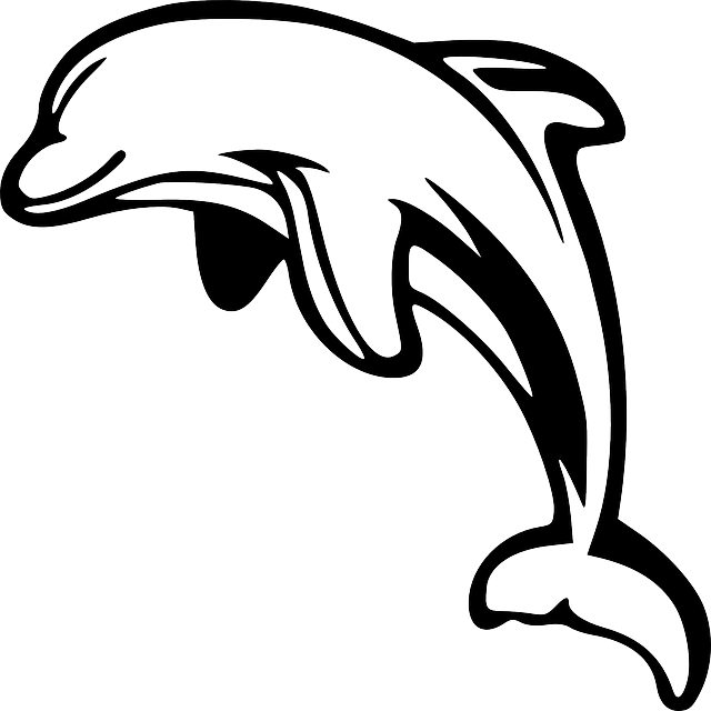 Dolphin Clipart Black And White Dolphin Leaping White - Dolphin Clipart Black And White (640x640), Png Download