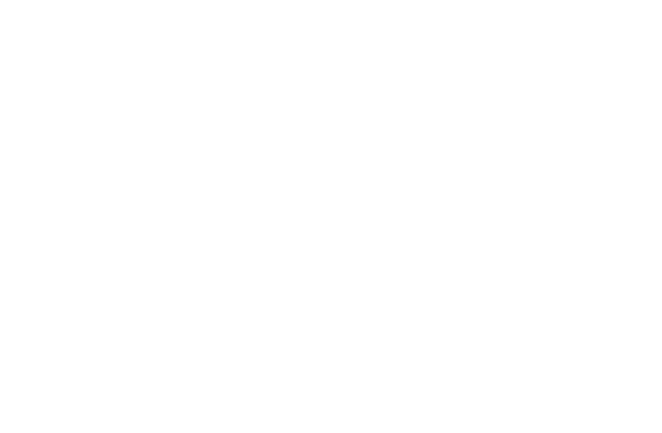 Creative Branding And Marketing In Portland, Oregon - Lambda Lion (1652x1000), Png Download