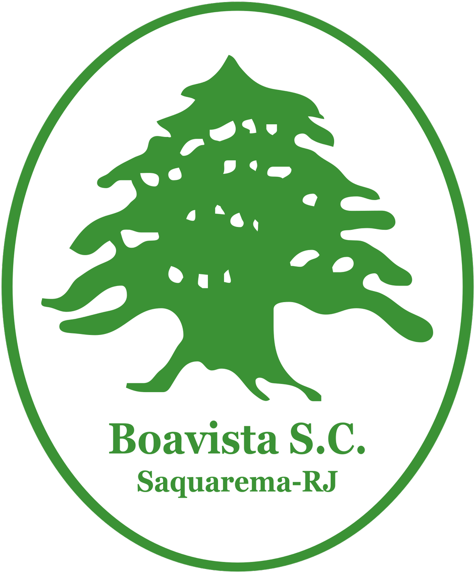 Roy Nemer On Twitter - Boavista Sport Club (1200x1200), Png Download