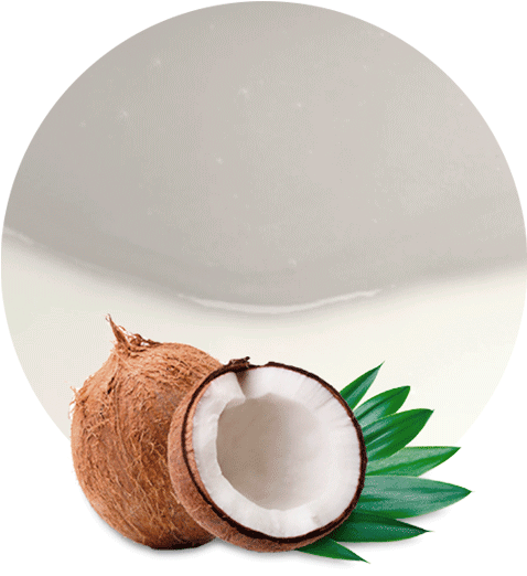 Coconut Water Concentrate - Novavita Naturals Novavita Organic Coconut Oil Capsules (536x595), Png Download