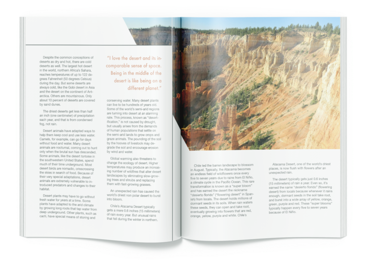 Spread4 (1000x648), Png Download