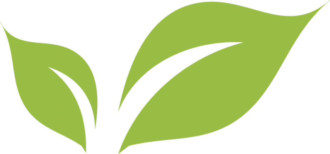 Cropped-folha - Imagens De Folha Em Png (1140x535), Png Download
