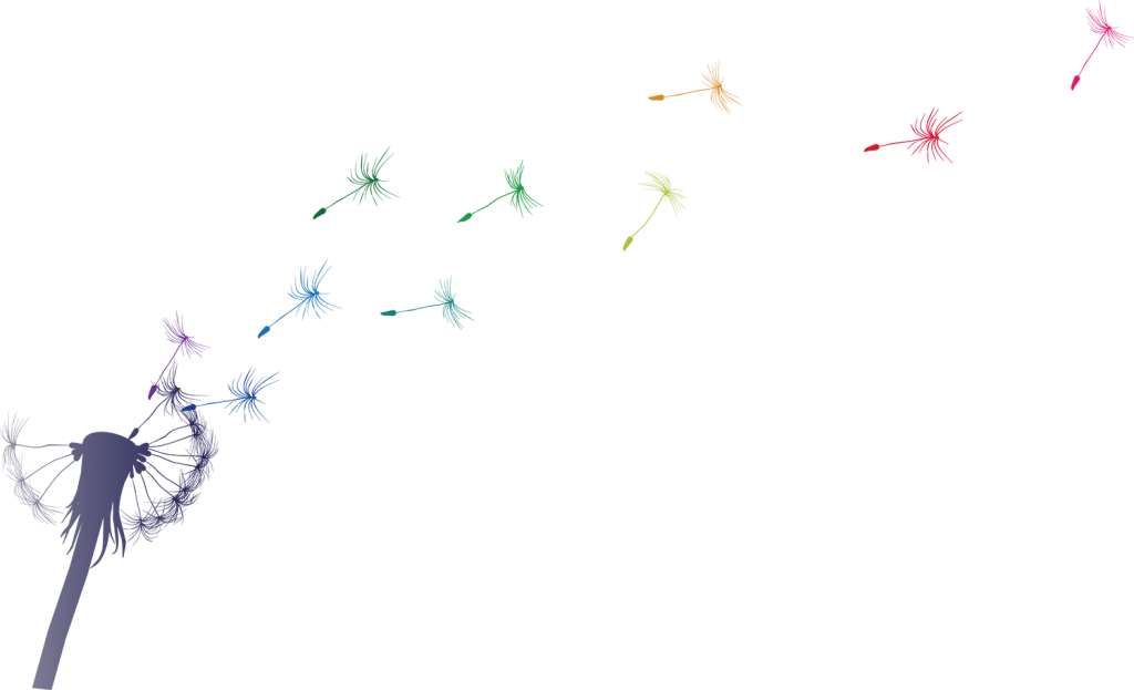A Drawing Of A Dandelion Seed Head With Rainbow Coloured - Fly: Live From Ireland: Songs Of Praise (1024x623), Png Download