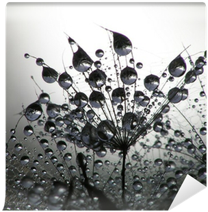 Alicante (400x400), Png Download