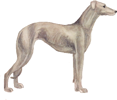 Vintage Clip Art Free Image Dogs Greyhound - Running Greyhound Clipart Free (423x366), Png Download