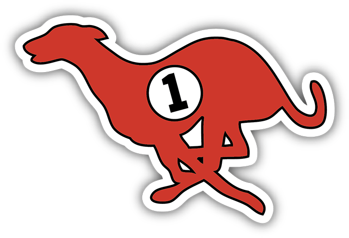 Running Greyhound Bumper Sticker - Bumper Sticker (720x720), Png Download