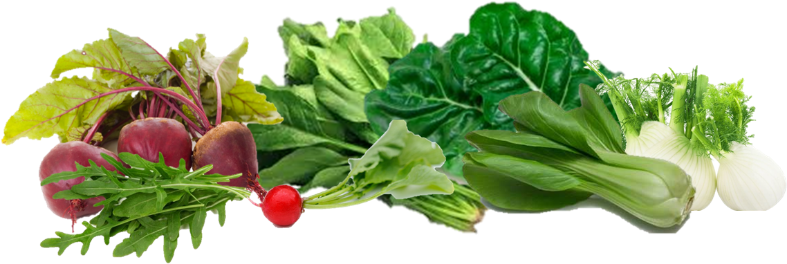No Durante El Primer Año De Vida, Pero ¿y Después - Arugula Herb 2017 - 150 (all Non-gmo Heirloom Vegetable (1140x393), Png Download