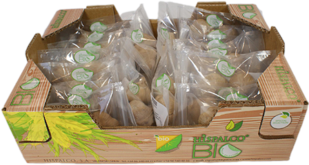 Garlic - - Vegetable (500x333), Png Download