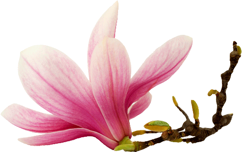 Labor Day Spa Specials (500x314), Png Download