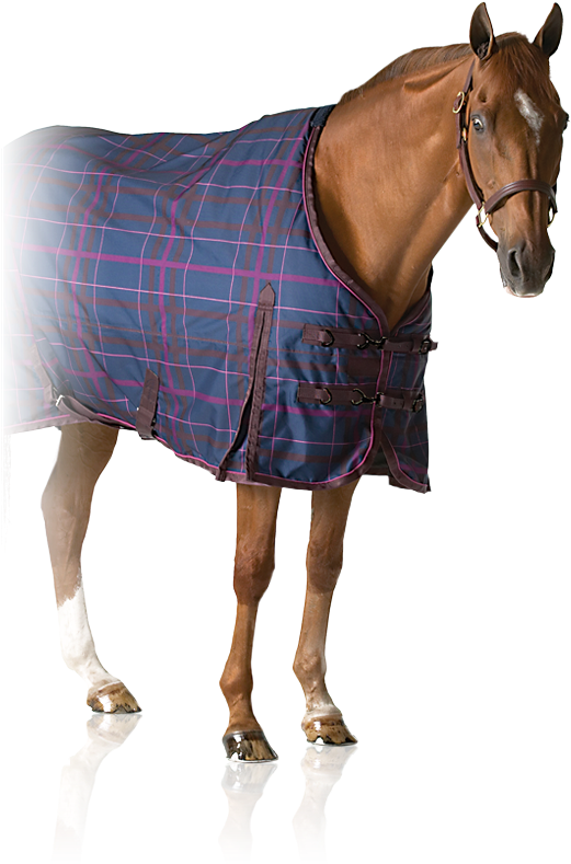 Pessoa - English Riding Supply Pessoa Alpine 1200d Turnout Sheet (540x800), Png Download