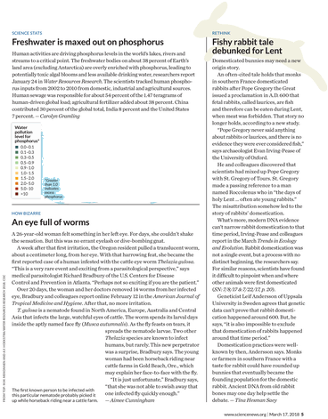 Folio Twelve From Burchard Of Sion's De Locis Ac Mirabilibus (380x491), Png Download