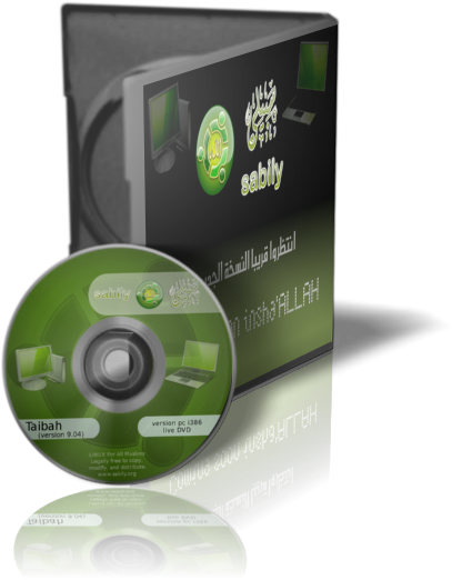 Sabily 3d Dvd Saber - Dvd Cover Design Png (500x600), Png Download