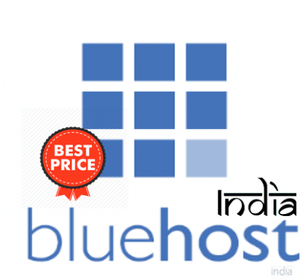 33% Off On Shared, Reseller, Cloud, Wordpress Hosting - Bluehost Logo Png (480x453), Png Download