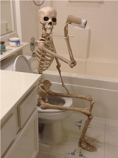 Ma, We're Out Of Toilet Paper - Skeleton Sitting On The Toilet (600x600), Png Download