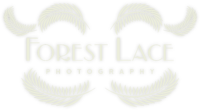 Emblem (874x620), Png Download