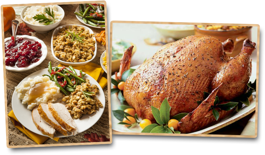Turkey Pics - Thanksgiving Cookbook: Blank Recipe Cookbook, 7 X 10, (1000x540), Png Download