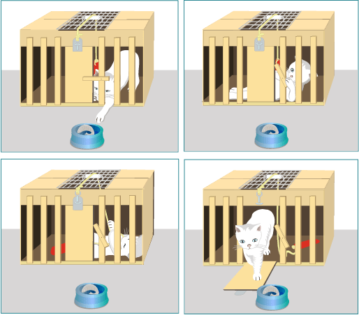 Caja Rompecabezas De Thorndike - Ley Del Efecto De Thorndike (514x452), Png Download
