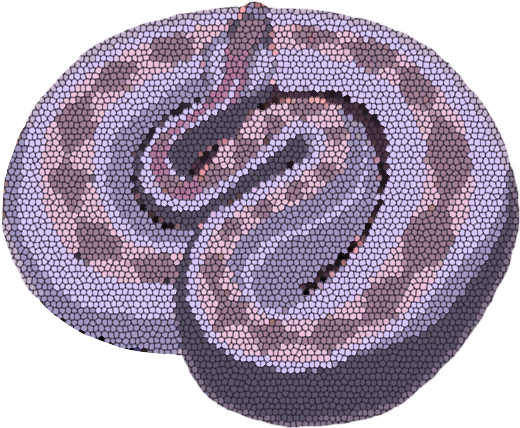 A Rattlesnake Is A Type Of Viper, Called A Pit Viper - Circle (600x526), Png Download