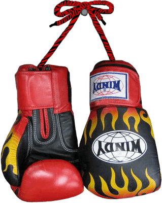 Muay Thai Boxing Gloves - Pattaya (319x400), Png Download
