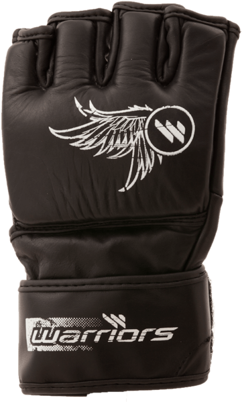 Warriors Elite Gloves - Jpeg (800x800), Png Download