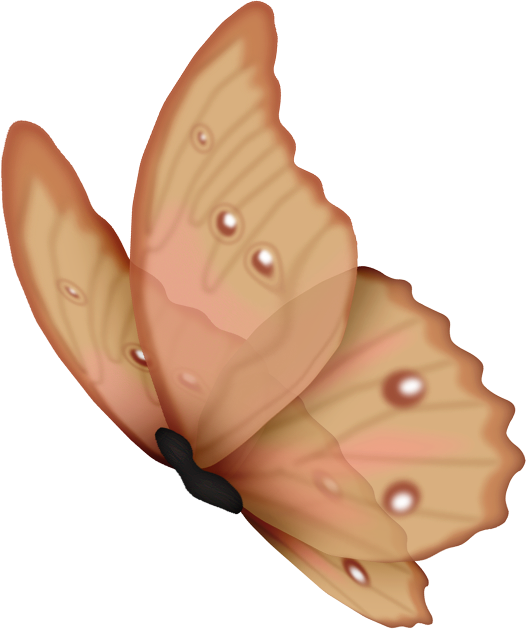 Mariposas Al Viento - Frames Png De Libelulas (1170x1427), Png Download