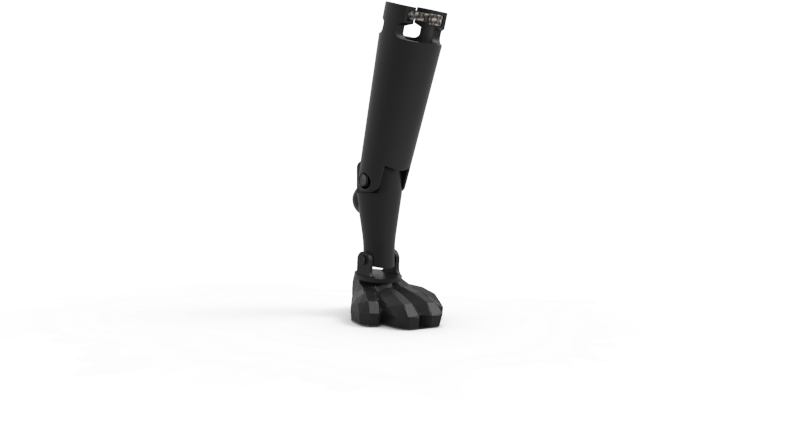 Riding Boot (800x658), Png Download