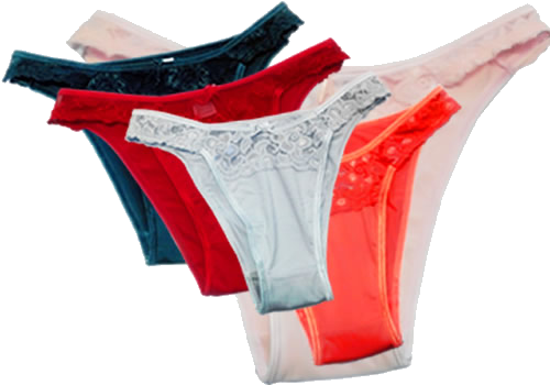 Vedetina De Microfibra Y Encaje - Lace (500x500), Png Download