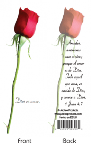 Garden Roses (500x500), Png Download