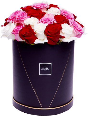 Picture Of Say Yes - Rosa × Centifolia (600x600), Png Download