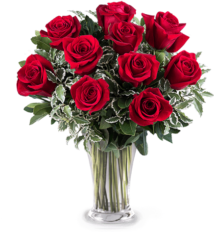 10 Rosas Rojas - Ramo De 10 Rosas Rojas (480x480), Png Download