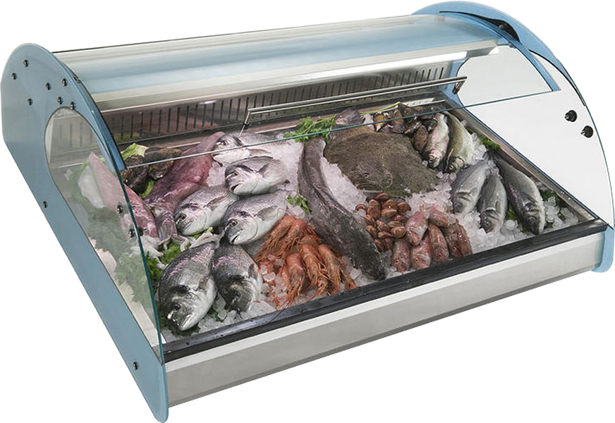 Vitrina Expositora Pescado Pequena - Fish Vitrine (872x600), Png Download