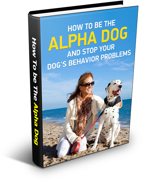 Alpha Dog Ebook Cover 500px - Purevivaldi Sale Now On Our Dog Whistle Premium Training (500x644), Png Download