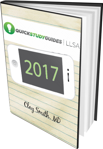 Llsa 2017 Ebook Cover (503x557), Png Download