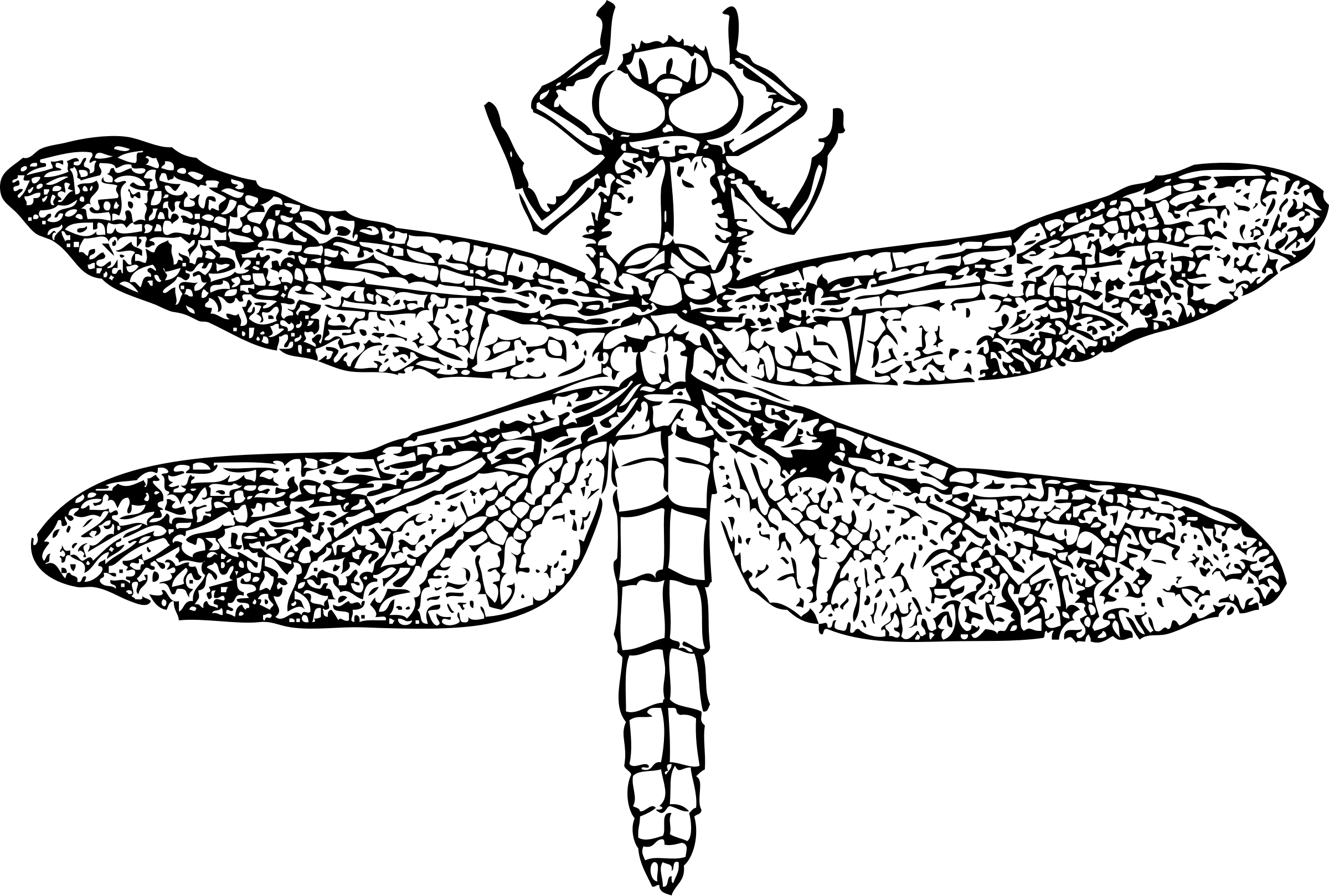 This Free Icons Png Design Of Dragon Fly (2400x1619), Png Download