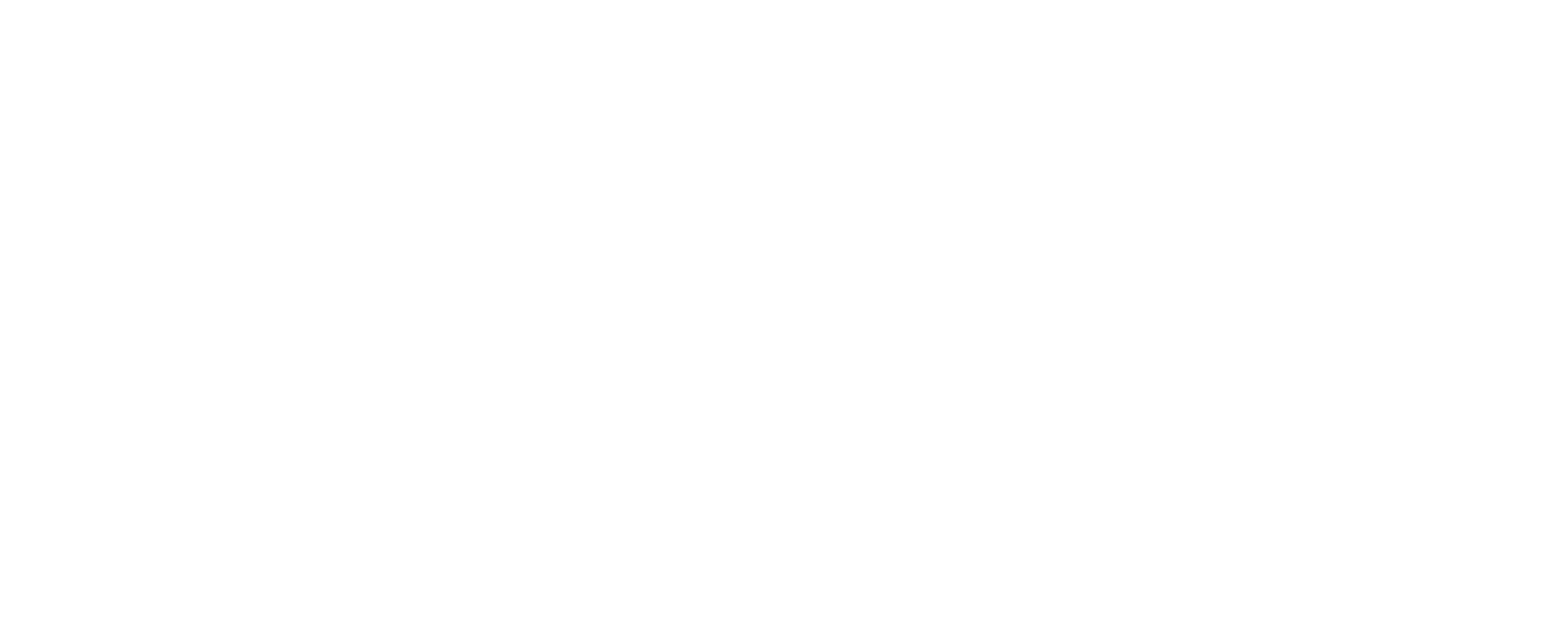 Logo White - Perfection Pet Foods (3242x1368), Png Download