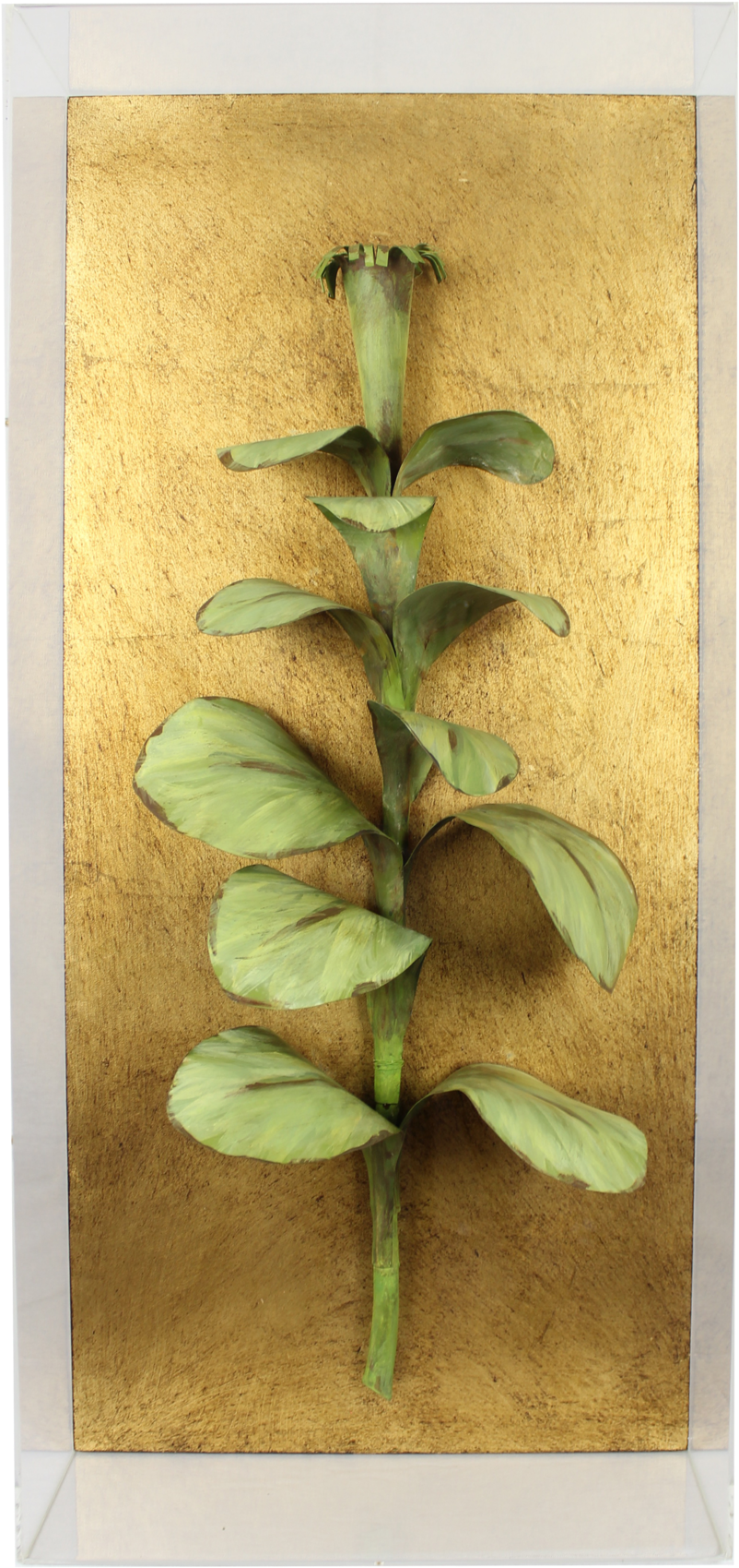 Tobacco (1000x1860), Png Download