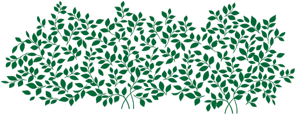 16 Ft (578x231), Png Download