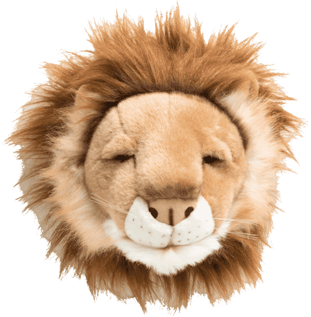 Cabeca De Pelucia Leao (640x640), Png Download