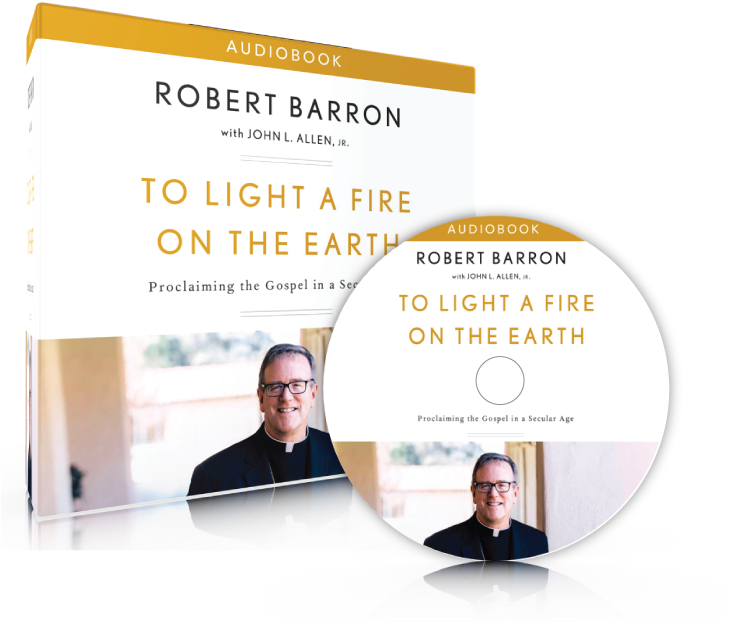 Products/shopify Tlaf Audiobook - Light A Fire On The Earth (800x800), Png Download
