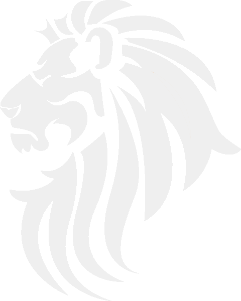 Collection - Sri Lankan Lion Logo (480x600), Png Download