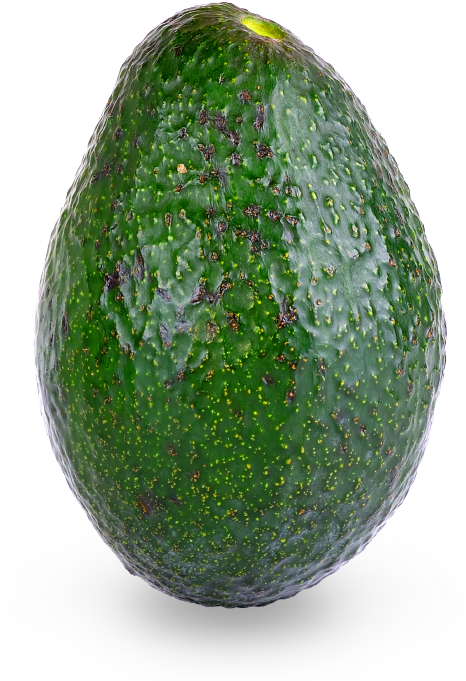 Avocado (750x750), Png Download