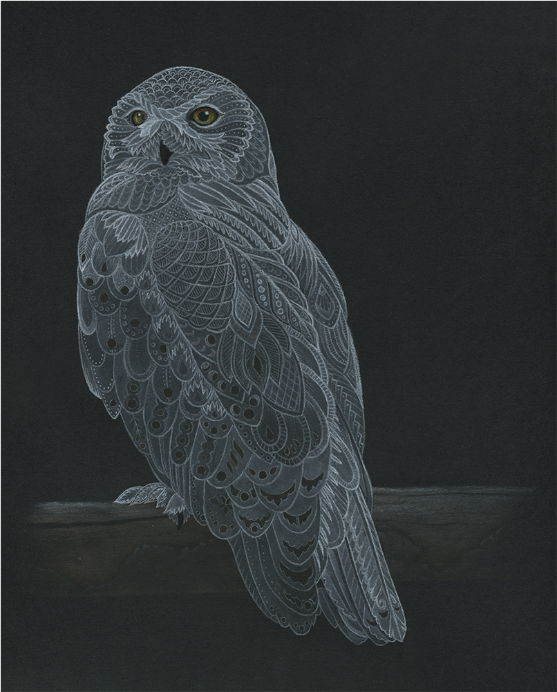 A Snowy Owl In Colored Pencil, Pastel, And Gouache, - Watercolor Painting (1000x1000), Png Download
