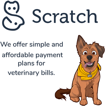 Scratchpay - Gigant.pl Velká Kniha Meditačních Cvičení (400x400), Png Download