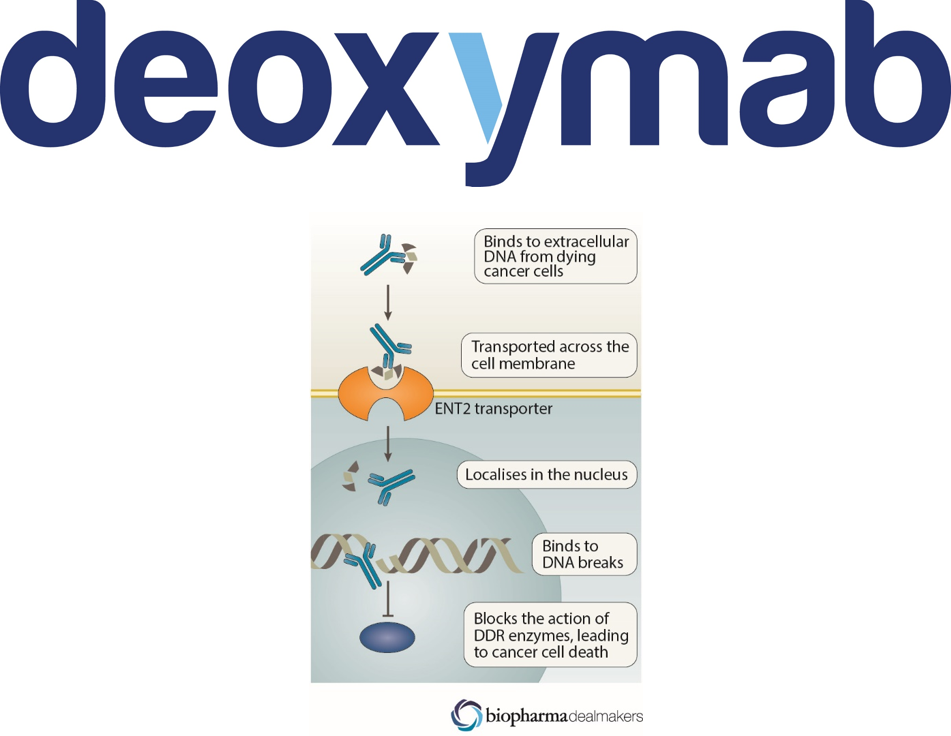 Deoxymab 3e10 (951x736), Png Download