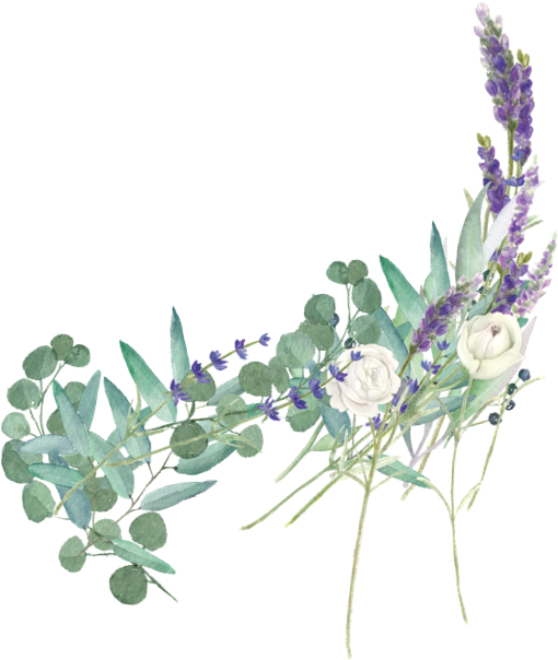 Floral - Bouquet (591x615), Png Download