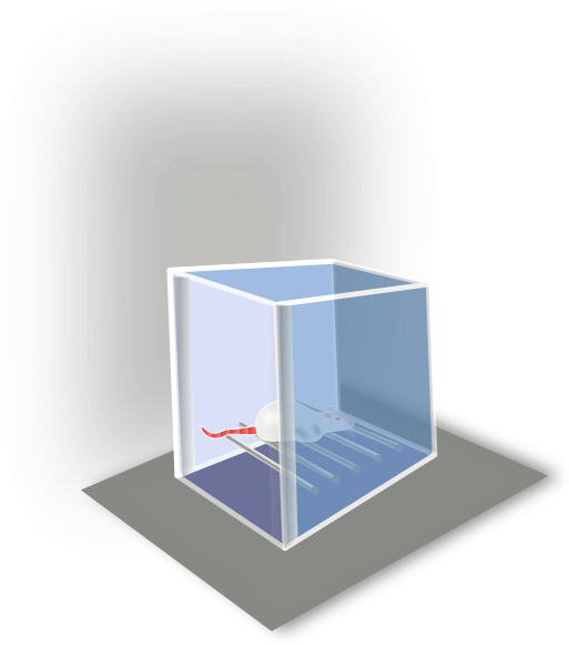 Conditioning Box Png Images 534 X - Clip Art (534x600), Png Download